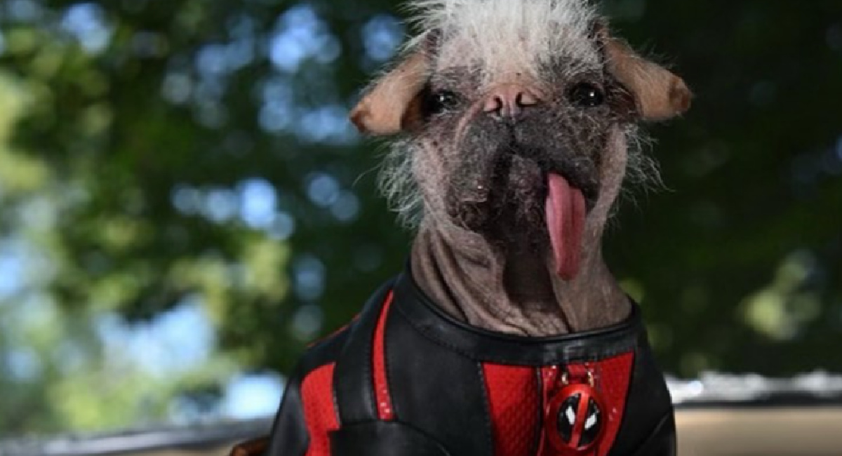 Dogpool in 'Deadpool 3.'