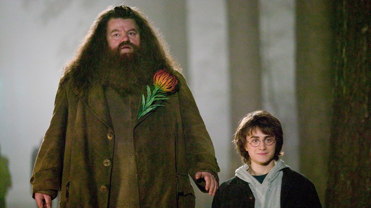 (L to R) Robbie Coltrane and Daniel Radcliffe in 'Harry Potter and the Goblet of Fire.' Photo: Warner Bros.