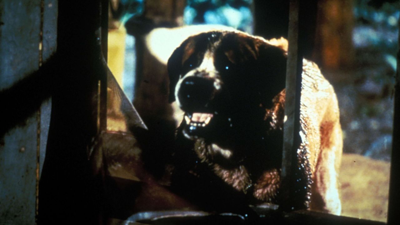 A scene from 'Cujo'. Photo: Warner Bros.
