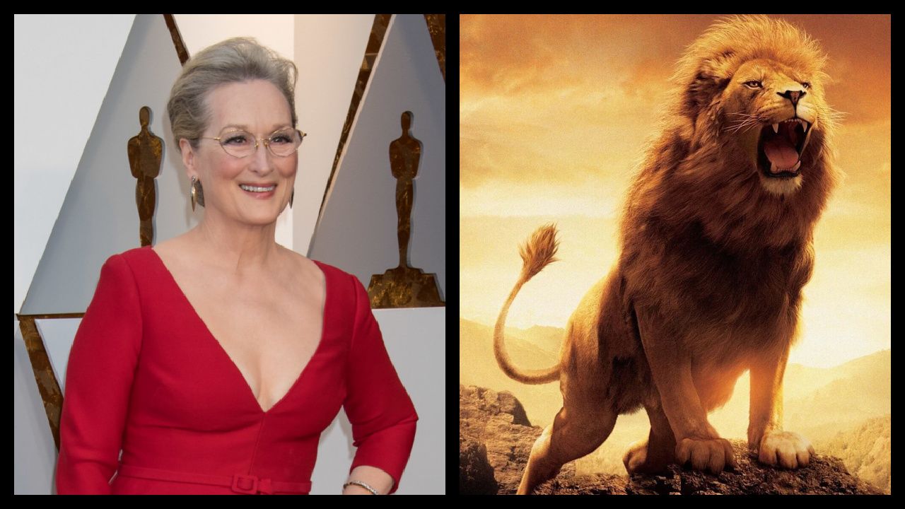 (Left) Meryl Streep at the 90th Academy Awards. Photo: Ross Costanza Photography. (Right) Aslan from 2005's 'The Chronicles of Narnia: The Lion, the Witch and the Wardrobe'. Photo: Walt Disney Pictures.